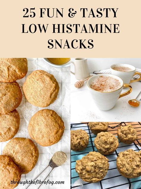 Low Histamine Oatmeal Cookies, Low Histamine And Low Fodmap, Low Histamine Treats, Low Histamine Recipes Instapot, Low Histamine Muffins, Low Histamine Snack Ideas, Low Histamine Dessert Recipes, Low Histamine Recipes For Kids, Low Histamine Foods Recipes