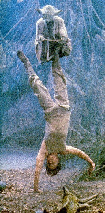 Yoda and Luke Skywalker.: Dark Vader, Photos Rares, Star Wars Character, Master Yoda, Dark Vador, Mark Hamill, Darth Maul, Star Wars Yoda, Star Wars Pictures