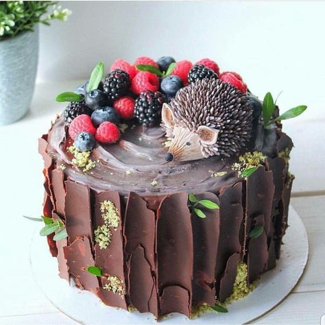 Hedgehog Cake, Animal Cakes, Fancy Cakes, Cake Creations, Pretty Cakes, Creative Cakes, Pavlova, Cute Cakes, Kids Cake