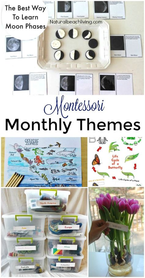 12 More Months of Montessori Monthly Themes, Montessori holiday activities, Seasons, Montessori tray ideas, Montessori Science, Preschool themes and more Montessori Monthly Themes, Seasons Montessori, Montessori Trays, Montessori Activities Preschool, Montessori Science, Montessori Elementary, Montessori Lessons, Gratis Printables, Montessori Homeschool