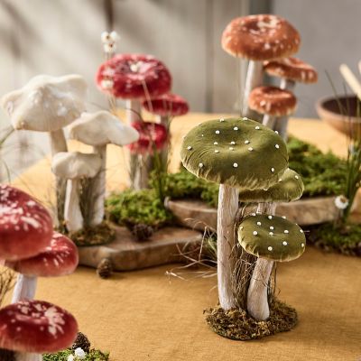 Search Results - Terrain Velvet Mushrooms, Women Cave, Summer Room, Mushroom Crafts, Outdoor Entryway, Decorating Home, Bathroom Modern, Display Table, Entryway Ideas