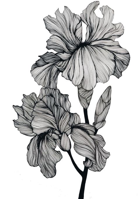 Ink Illustrations Flowers, Fineliner Art, Pen Art Work, Armband Tattoos, Doodle Art Flowers, Black And White Art Drawing, Flower Art Drawing, Flower Sketches, Floral Drawing