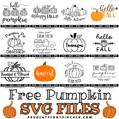 Add a touch of autumn to your apparel and home decor with these free fall pumpkin SVG files. They are perfect for t-shirts, fall wall art, fall wood signs, tumblers, mugs, and much more! Whether you want to make Fall Cricut projects to sell or as a fall craft to give as a gift, there are tons of free svgs so celebrate fall in style with these cute fall t-shirts and DIY fall decor ideas. These fall pumpkin cut files are easy to download and turn into DIY fall projects. Diy Cricut Fall Decor, Svg Fall Designs Free, Cricut Art Projects, Cricut Projects Ideas Decor Wall Art, Fall Cricut Signs, Fall Vinyl Ideas, Fall Svg Files Free Cricut, Fall Mug Ideas, Free Pumpkin Svg Files For Cricut