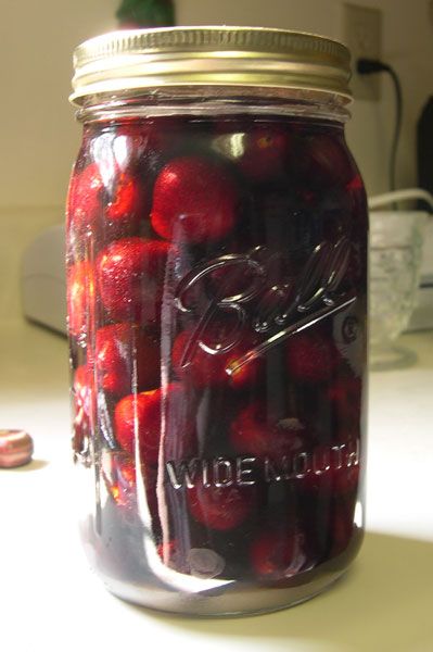 Brandy Cherries, Maraschino Cherries Recipes, Homemade Liqueur Recipes, Brandy Recipe, Flavored Liquor, Boston Food, Sour Cherries, Homemade Liquor, Liquor Recipes