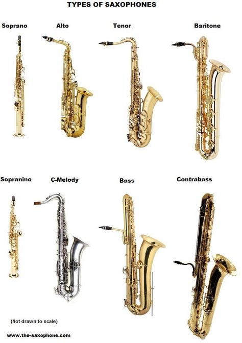 Bass Saxophone, Vintage Saxophones, Arte Jazz, Jazz Instruments, Saxophone Instrument, Jazz Saxophonist, Saxophone Music, Saxophone Sheet Music, Brass Instrument