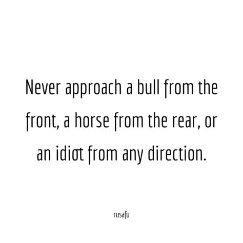 Never approach a bull from the front, a horse from the rear, or an idiot from any direction. - RUSAFU Petty Quotes Funny, Inappropriate Quotes, Alpha Female Quotes, Sarcasm Comebacks, Status Ideas, Petty Quotes, Serious Quotes, Funny Pictures With Captions, Savage Quotes