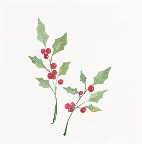 Herbarium Ideas, Holly Sprigs, Watercolor Holly, Holly Flower, Holly Pictures, Clay Painting, Color Me Mine, Holly Tree, Winter Watercolor