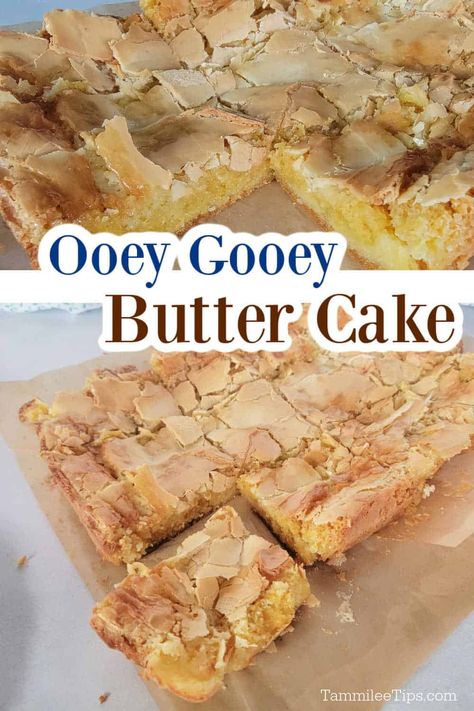 Ooey Gooey Butter Cake Recipe, Gooey Butter Cake Recipe, Butter Cake Bars, Butter Cake Cookies, Ooey Gooey Butter Cake, Gooey Cake, Gooey Butter, Mixer Recipes, Gooey Butter Cake