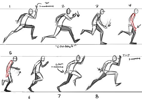 Animation Cycle, Running Animation, Drawing Walking, Running Pose, Walking Animation, Walking Poses, Animation Classes, Drawing Instructions, Run Cycle