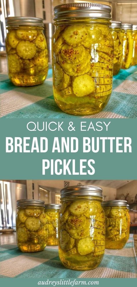 Diy Bread And Butter Pickles, Bread And Butter Pickles With Honey, Homemade Bread And Butter Pickles Easy, Quick Pickles Bread And Butter, Pickling Cucumbers Bread And Butter, Recipe For Bread And Butter Pickles, Ball Bread And Butter Pickle Recipe, Refrigerated Bread And Butter Pickles, Bread And Butter Recipes