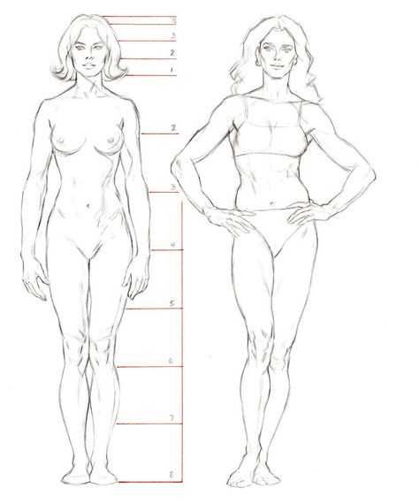 Female Anatomy Reference, Male Figure Drawing, Drawing Female Body, Human Anatomy Drawing, Human Figure Drawing, Human Anatomy Art, Anatomy Sketches, Body Anatomy, Female Anatomy