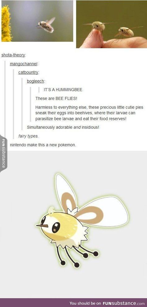 Welp, it came true http://ibeebz.com Cutiefly Pokemon, Cassandra Calin, Pokemon Tumblr, Bee Fly, Funny Pokemon, Pokemon Pokemon, Pokemon Memes, Funny Fun Facts, Pokemon Go