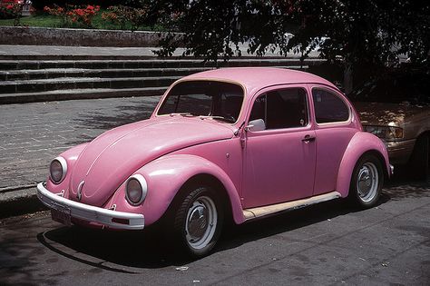 nothing like bombing around the city in my pink bug! such wonderful memories and good times! miss you my pink bug Pink Vw Bug, Pink Vw Beetle, Pink Volkswagen Beetle, Pink Beetle, Pink Truck, Combi Volkswagen, Pink Inspiration, Beetle Car, Pink Car