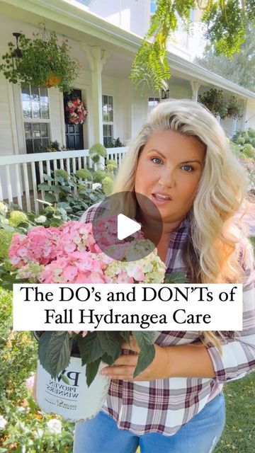 Skye Hamilton • Home & Garden • Hydrangea Queen on Instagram: "DO: plant hydrangeas in the fall, 6-8 weeks before the ground freezes  DO: water until the ground freezes  DO: mulch the baseu of your hydrangea with compost  DON’T: prune any variety under any circumstances DON’T: fertilize  DON’T: buy unhealthy diseased plants just because they are on fall clearance   #hydrangeaqueen #ShareYourGarden #MyGardenThisMonth #HomeAndGarden #HomeAndGardenIG #Garden. #gardeningtips #FlowersOfInstagram #Hydrangeas  #gardening #GardensOfInstagram #hydrangealove #hydrangeaseason  #caringforplants #passionforflowers #gardenreels #flowerreels #hydrangeatips" When To Plant Hydrangeas, Hydrangea Season, Garden Hydrangea, Smooth Hydrangea, Hydrangea Arborescens, Fall Hydrangea, Panicle Hydrangea, Hydrangea Care, Growing Hydrangeas