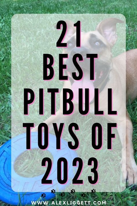 After owning and fostering pitbulls over 8 years, I know which toys stand the test of time and which ones are gonna end up in the trash in 5 minutes. Browse the best toys for pitbulls, tested and approved. Dog Busy Toys, Bringing Home Puppy, Dog Essentials Products, New Puppy Checklist, Dog Toys Indestructable, Diy Dog Toys, Best Dog Toys, Dog Exercise, Dog Training Advice