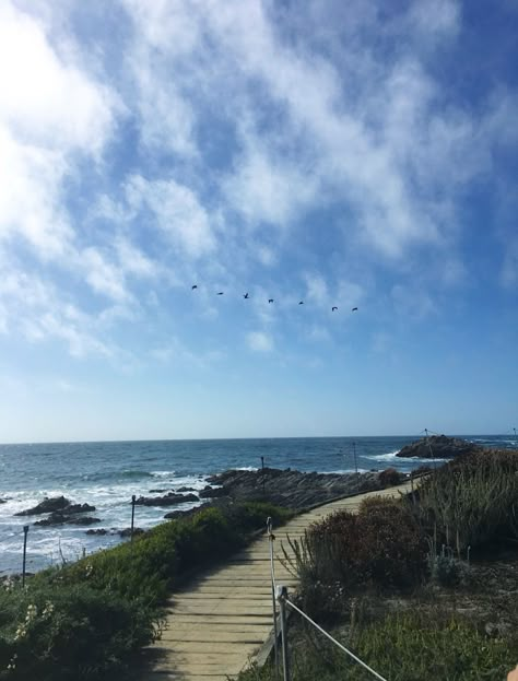 Path through Monterey bay on the Ocean, birds flying, rocks, clear sky California State University Monterey Bay, Csu Monterey Bay, Monterey California Aesthetic, Monterey Aesthetic, Monterrey California, Seaside California, Mid 30s, Monterey Bay California, Mill Valley California