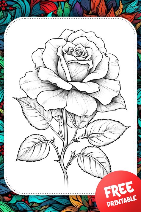 A coloring page featuring a single detailed rose flower. Follow the link to download a printable PDF file. Colour Pages Printable, Rose Coloring Pages Free Printable, 3 Roses Drawing, Rose Flower Drawing Design, Roses To Draw, Single Rose Drawing, Free Coloring Pages Printables Adults, Rose Drawing Sketch, Drawing For Colouring