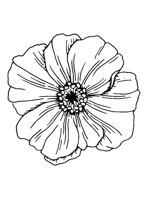 Poppy - Lol Coloring Pages Poppy Head, Poppy Coloring Page, Lol Coloring Pages, Lol Coloring, Pencil Drawings For Beginners, Doodle Art Flowers, Poppy Color, Portraiture Drawing, Anzac Day