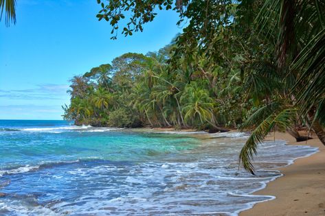 ¿Dónde están las mejores playas de Costa Rica? Te presentamos una lista con las 12 mejores playas de Costa Rica. ¿Con cuál te quedas? Puntarenas, Beaches In The World, Painting Class, Costa Rica, Rio De Janeiro, The Beach, Pool, Sun, Outdoor Decor