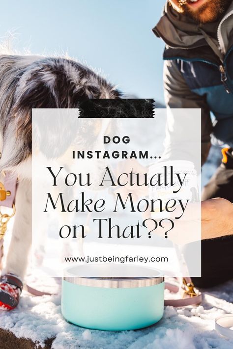 Dog Influencer Instagram, Dog Social Media Post, Dog Influencer, Pet Influencer, Pet Instagram, Monetizing Instagram, Pets Photography, Dog Instagram, Instagram Money