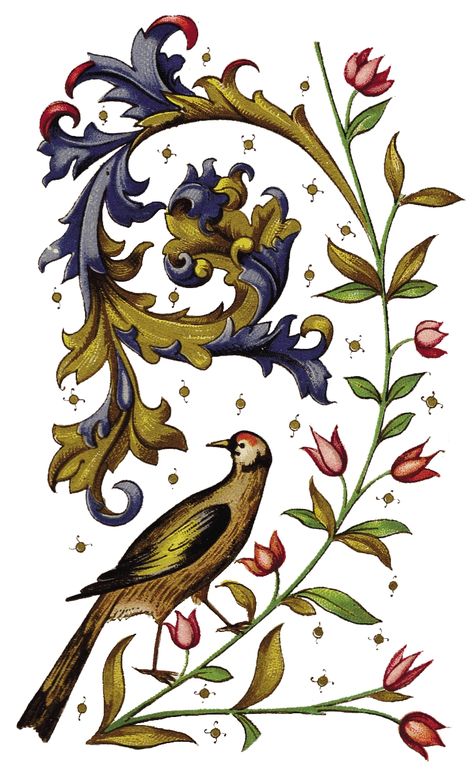 Medieval Ornament Elements Medieval Ornament, Medieval Pattern, Illumination Art, Beautiful Calligraphy, Medieval Manuscript, Flowers Art, Bird Drawings, Medieval Art, Illuminated Manuscript