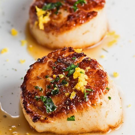 Easy Scallop Recipes, Scallops Recipe, Resep Seafood, Pan Seared Scallops, Rasa Malaysia, Seared Scallops, Scallop Recipes, Scallops Seared, Garlic Herb