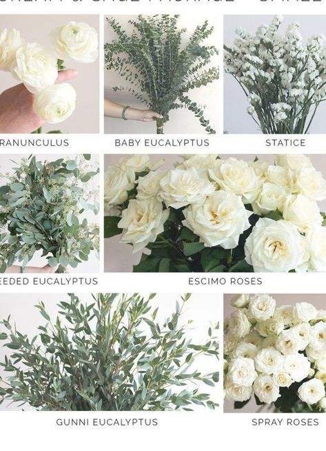 Sage Wedding Flowers, Wedding Flower Types, Flower Moxie, Sage Green Flowers, Bridal Bouquet Flowers, Sage Wedding, Sage Green Wedding, Cream Wedding, Wedding Mood