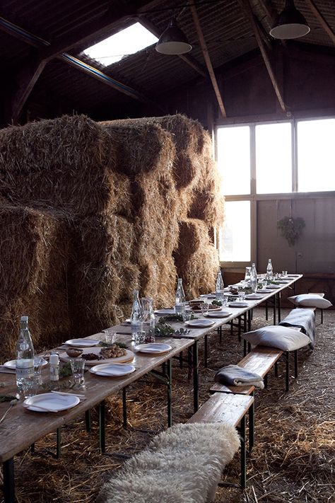 Barn party Winter Bbq, Winter Picnic, Barn Parties, Outdoor Dinner, Table Set Up, Long Table, Event Styling, Beautiful Table, Table Style