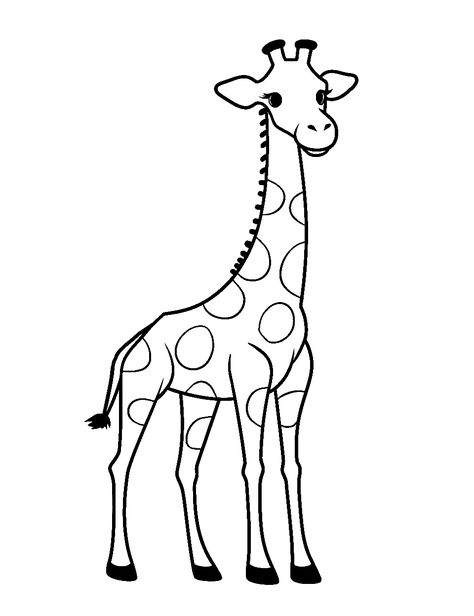 Drawing Of Giraffe Easy, Giraffe Simple Drawing, Giraffe Clipart Black And White, Giraffe Templates Free Printable, Giraffe Coloring Pages Free Printable, Giraffe Face Drawing, Giraffe Drawing Simple, How To Draw A Giraffe, Cute Cow Sketch