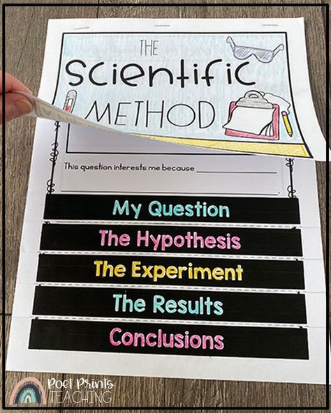 Scientific Method 3rd Grade, 3rd Grade Lessons, Third Grade Science Projects, Scientific Method Anchor Chart, Scientific Method Elementary, Teaching Scientific Method, Amplify Science, Scientific Method For Kids, Scientific Method Experiments