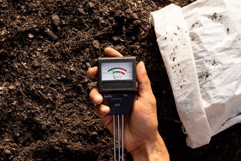 Evidence & attribution for land carbon sink enhancement. Continue reading Measuring the effectiveness of the land’s carbon sink on Tech Explorist. Carbon Sink, Carbon Cycle, Carbon Dioxide, Photosynthesis, The Land, Carbon Emissions, Human, Reading