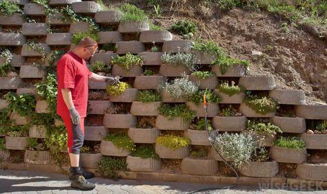 Some retaining walls even leave room for the addition of plant life. Cinder Block Retaining Wall, Block Retaining Wall, Landscaping Blocks, Retaining Wall Design, Retaining Wall Blocks, Garden Blocks, Garden Retaining Wall, Cinder Block Garden, Landscaping Equipment