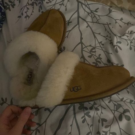 Ugg Scuffette Slippers Ugg Scuffette Slippers Outfit, Ugh Slipper, Brown Ugg Slippers, Ugg Slippers Outfit, Ugg Scuffette Slippers, Slippers Outfit, Ugg Scuffette, Ugg Slippers, Chestnut Brown