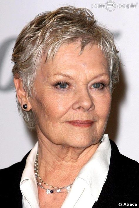 Judi Dench Judy Dench Hair, Judy Dench, Southern Humor, Short Pixie Bob, Annie Lennox, Pixie Bob Haircut, Judi Dench, Short Grey Hair, Helen Mirren