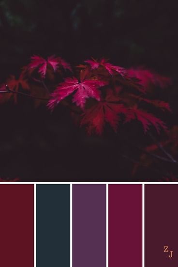 Color Schemes Colour Palettes, Fall Color Palette, Color Palate, Color Palette Design, Color Inspo, Colour Board, Color Stories, Colour Schemes, Color Pallets