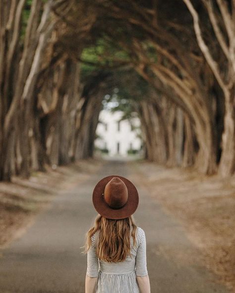 Through the looking glass... ✨ . . . .  @jucyworld #jucyworld Cypress Tree Tunnel, 50mm Photography, Tree Tunnel, Dark Beauty Magazine, Tøp Aesthetic, Photography Inspiration Portrait, Lightroom Editing, Christmas Photoshoot, Fall Photoshoot