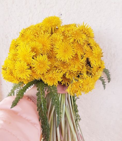 Dandelion Bouquet Aesthetic, Dandelion Flower Bouquet, Dandelion Wedding Bouquet, Dandelions Bouquet, Bouquet Of Dandelions, Dandelion Bouquet, Dandelion Wedding, Dandelion Yellow, Dream Aesthetic