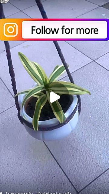 Jagwant Singh on Instagram: "Hang Pots easily now #gardening #garden #flowers #plants #nature #gardenlife #flower #gardendesign #growyourown #gardener #plantsofinstagram #naturephotography #gardeninspiration #growyourownfood #gardens #photography #green #plant #organic #mygarden #flowerstagram #flowersofinstagram #homegrown #gardenlove #plantsmakepeoplehappy #love #landscaping #landscape #organicgardening #gardensofinstagram" How To Hang Flower Pots, How To Hang Plants, Pot Hanging Ideas, Hanging Plants Ideas, Gardens Photography, Hanging Flower Pots, Plants Nature, Hanging Pots, Grow Your Own Food