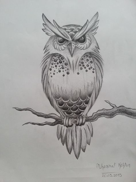 Owl Drawing Simple, Drawing Owl, Owl Tattoo Drawings, Owl Sketch, Abstract Pencil Drawings, Wicked Tattoos, Pencil Sketch Drawing, Nature Art Drawings, Owl Tattoo Design