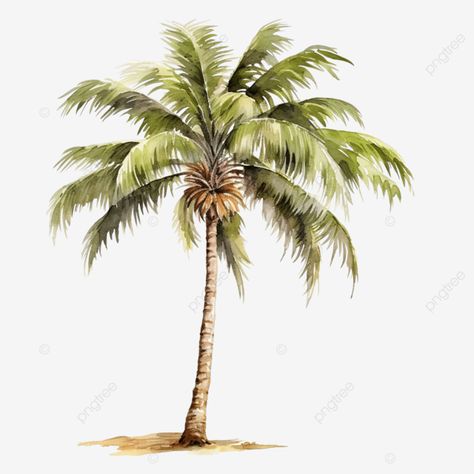 palm tree watercolor illustration clip art Coconut Tree Illustration, Florida Illustration, Coconut Tree Png, Palm Trees Illustration, Coconut Illustration, Palm Tree Watercolor, Palm Tree Illustration, Watercolor Palm Tree, Palm Tree Png