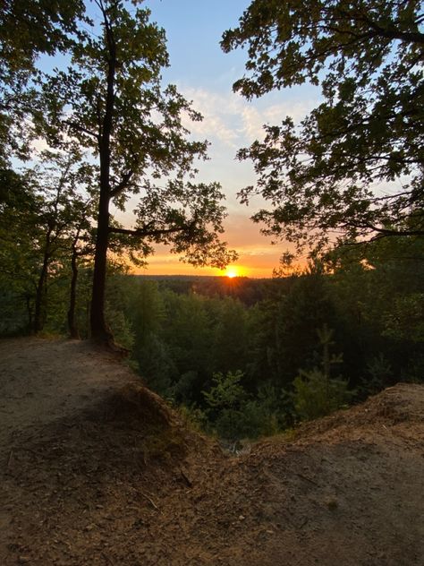 Sunset forest wallpaper Sunset In A Forest, Forest Sunset Aesthetic, Sunset Forest Wallpaper, Sunset Forest Aesthetic, Sunset Woods, Sunset In The Forest, Random Vibes, Green Nature Wallpaper, Sunrise Wallpaper