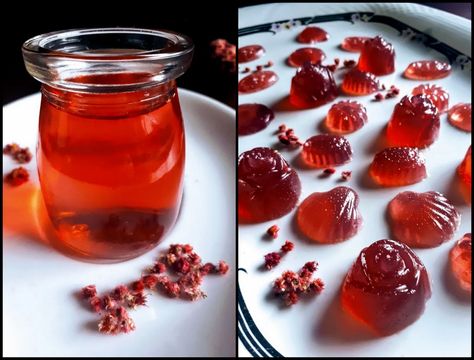 Cookbook Preview: Plum Blossom Honey Panna Cotta, Wild Spring Dumplings & Staghorn Sumac Jellies – Gather Victoria Staghorn Sumac Recipes, Sumac Recipes, Staghorn Sumac, Fantasy Food, Thanks To You, Fruit Snacks, Plum Blossom, What To Cook, Dumplings