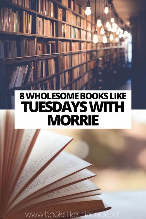 Loved Mitch Albom's wholesome novel and searching for more books like Tuesdays with Morrie? Check out these eight great reads! Books Like The Alchemist, The Martian Book, Fish In A Tree, Moving Books, The Way Of Kings, We Were Liars, Red Rising, All The Bright Places, Interesting Books