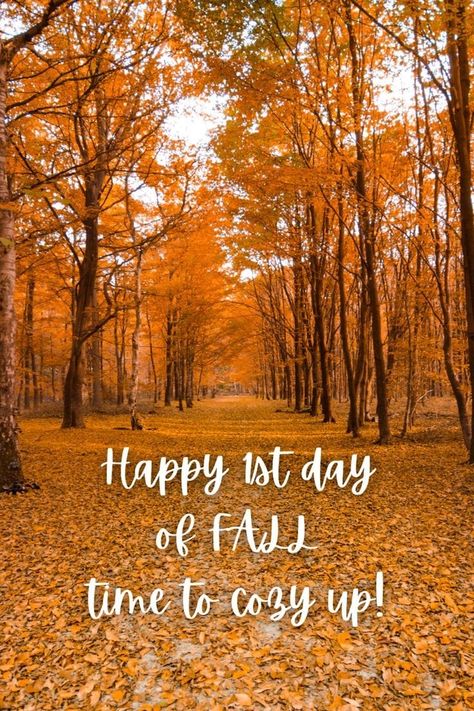 My favorite time of the year ❤️... Today is the first day of Autumn 🍁 Good Morning First Day Of Fall, Happy First Day Of Fall Quotes, 1st Day Of Fall Quotes, First Day Of Fall Activities, First Day Fall, First Day Of Fall Quotes, Fall Time Quotes, 1st Day Of Autumn, Happy 1st Day Of Fall