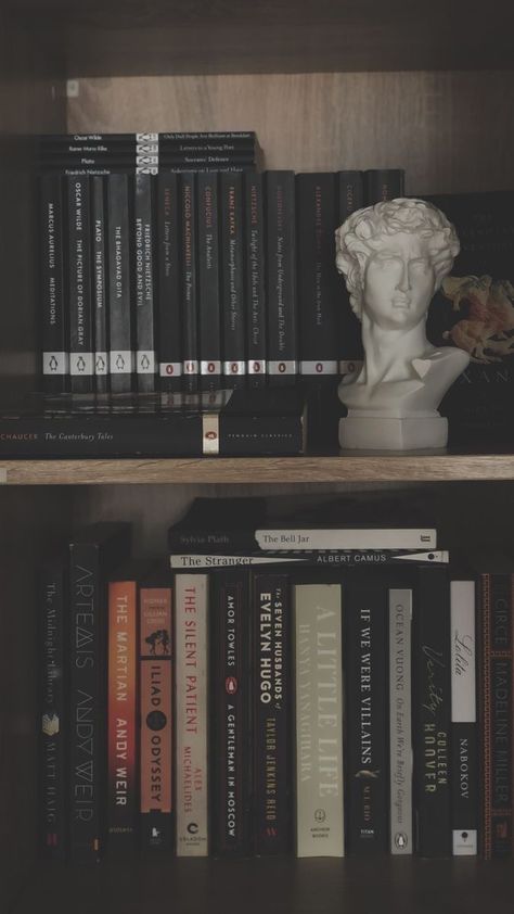 Books Aesthetics Dark, Dark Academia Vibes Books, Books Aesthetic Vintage Dark, Aesthetic Dark Academia Books, Classic Book Wallpaper, Smart Astethic, Bookshelf Styling Dark Academia, Book Shelf Dark Academia, Classics Aesthetics Books