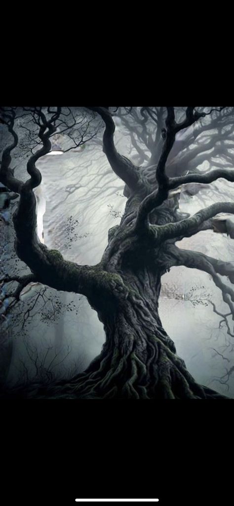 Creepy Tree Painting, Creepy Woods Aesthetic, Creepy Tree Tattoo, Cool Trees, Forest Ghost, Foggy Woods, Creepy Woods, Creepy Forest, Creepy Tree