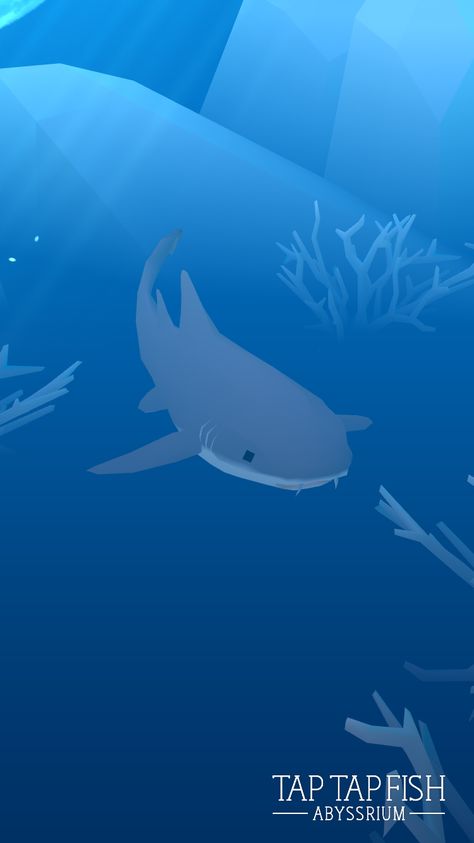 My Nurse Shark:)  #taptapfish Download: http://onelink.to/jhe4sh Nurse Shark Wallpaper, Nurse Shark Drawing, Shark Pictures, Shark Drawing, Nurse Shark, Shark Art, Cute Shark, Marine Biology, Whale Shark