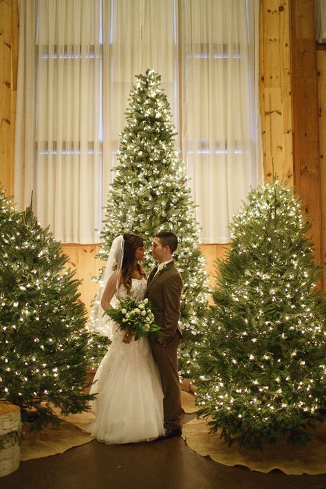 Winter Wedding Tree Decor, Christmas Trees For Wedding, Winter Wedding Pine Tree Decor, Christmas Wedding Alter Ideas, Christmas Trees At Wedding Reception, Christmas Trees At Wedding, Christmas Tree Wedding Decorations, Christmas Wedding Isles Decoration, Indoor Winter Wedding Ceremony