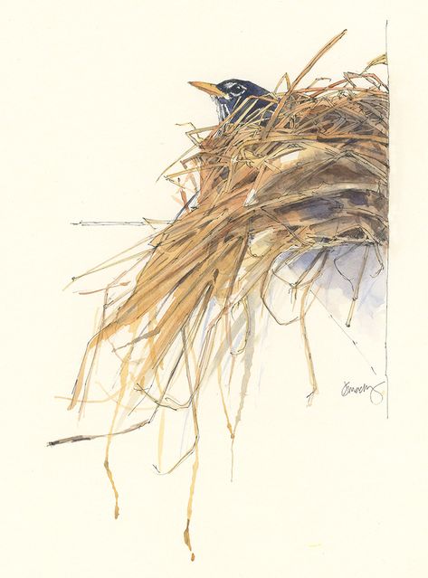 Watercolor Bird Nest Paintings, Birds Nest Drawing, Bird Nest Art, Nest Painting, Bird Nests Art, Paintings Of Birds, Bird Nest Painting, Paintings Of Animals, Watercolour Birds