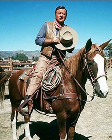 John Wayne “The Duke” Fans on Instagram: “John Wayne may or may not have liked horses, but he did have a favorite in his later years.  The sorrel gelding was called Dollor and it…” John Wayne Quotes, Arte Cowboy, Western Men, John Wayne Movies, Ben Johnson, Cowgirl Stuff, Riding A Horse, Movie Actors, Real Cowboys